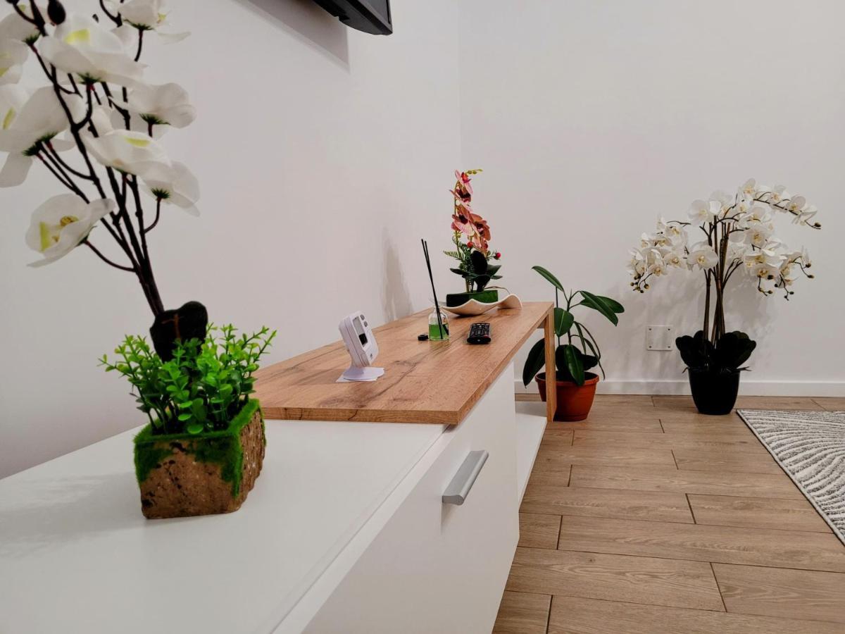Casa Feli Apartment บราชอฟ ภายนอก รูปภาพ